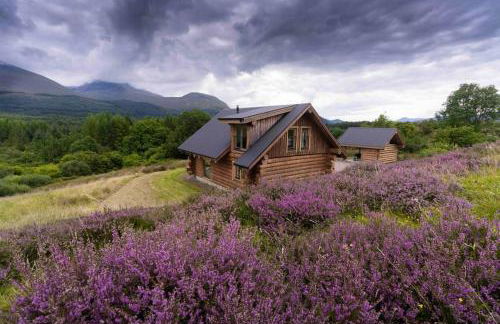 Wild Nurture Eco Luxury Offgrid Log Cabin - Foto 64