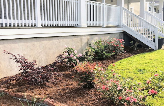 Renovated 3 Bedroom Close to Downtown - Foto 3