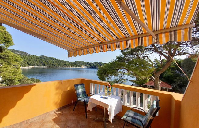 Apartments Vinko Mljet - Foto 24