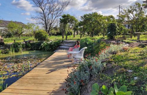 Quinta do Soldado - Foto 13