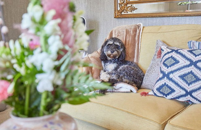 Host Stay The Beach House - Foto 23