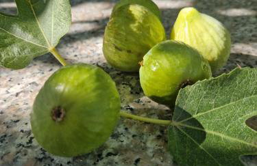 Apartments Rora - Foto 23