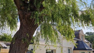 Ty Mamie spa - 700m de la plage - Foto 4