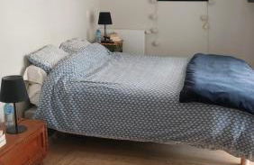 La Soldanelle vue lac et montagnes - Photo 10