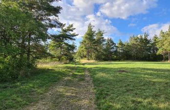 Ferienapartment Wilma - Foto 47