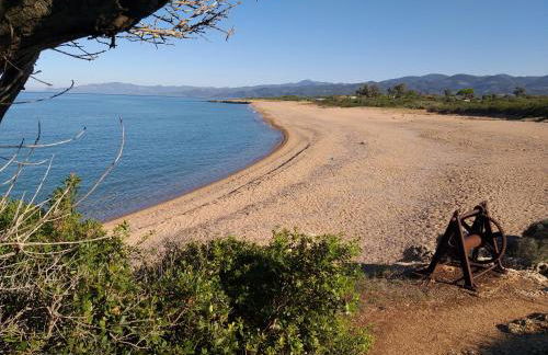 Tzanetos Seaside - Foto 28