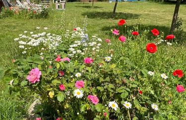 Ferienhof Schmetterlingsgarten - Foto 17