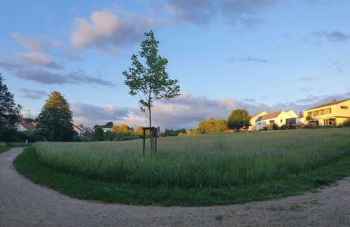 Am Park Comfortable holiday residence - Photo 8