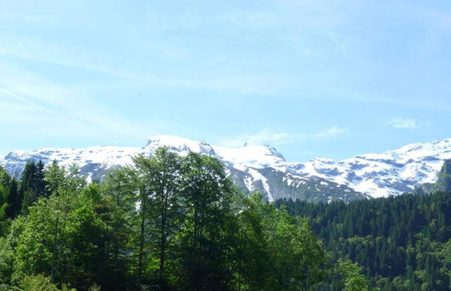 Sattelboden 4 - Foto 13