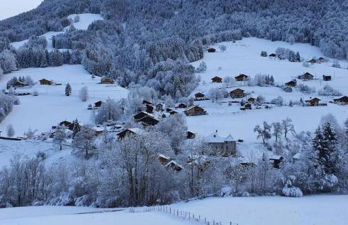 Chalet Génie des Alpages, 8 personnes, proche stations - Foto 19