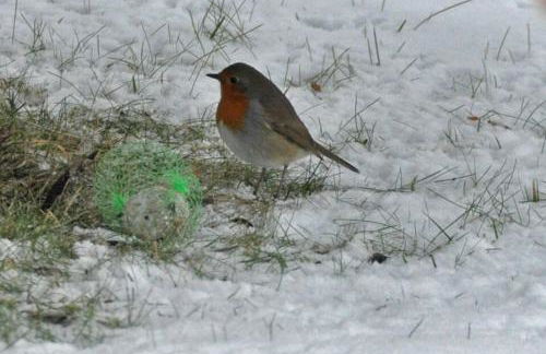 Land des Friedens in Nettersheim / Eifel - Photo 25
