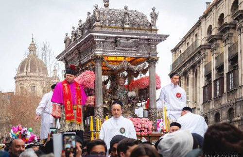 Carrubo - Giardino in città - Foto 13