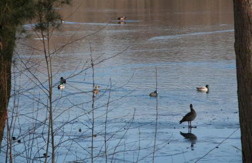 Villa Weißensee - Foto 43
