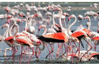 Ático Encarnación centro terraza y parking - Photo 28