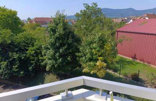 Locations Vacances Obernai Studio - Foto 44