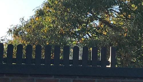 Ferienwohnung am Komisenpad - Foto 4