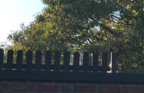 Ferienwohnung am Komisenpad - Foto 4