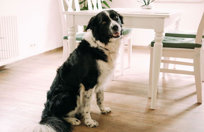 Ferienwohnung Worpsweder Schlösschen - Photo 14