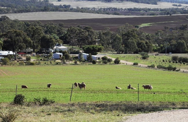 Stone Hut Cottage - Foto 15