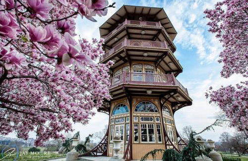 Johns Hopkins Historic Renovated home - Fells Point! - Foto 49