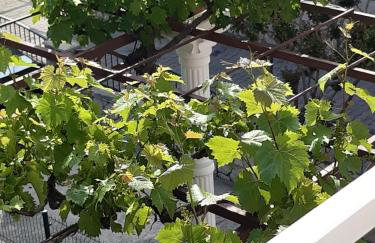 Apartment Marijana - Foto 48