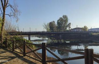 La Casona del Bullaque - Foto 58