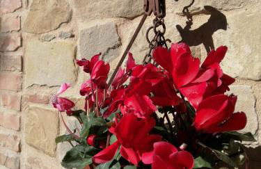 Casale San Martino Agriturismo Bio - Foto 64