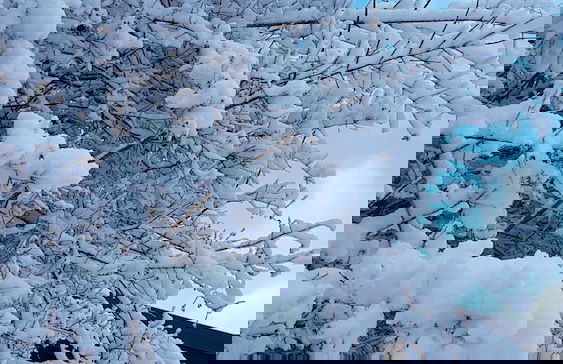 Ferienhaus Mauth - Foto 44