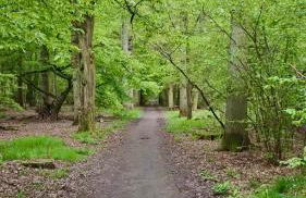 Exquisite tiny house with garden and air con - between Paris-Disneyland - 3mins from train station - Foto 28