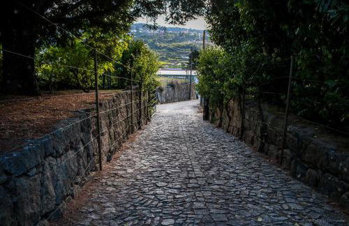 Quinta Das Rossadas - Photo 7