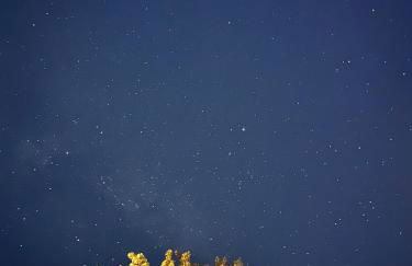 Lake House, Fire Pit, Games Magnolia Lake House - Foto 56