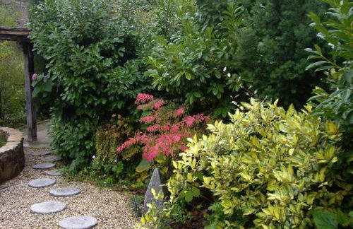 La Casita con piscina privada de tres dormitorios - Photo 78