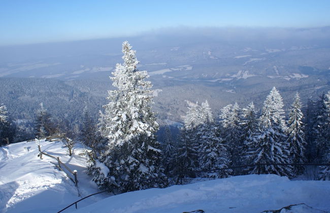 Ferienwohnung im Bayerischen Wald mit Sauna - Foto 26