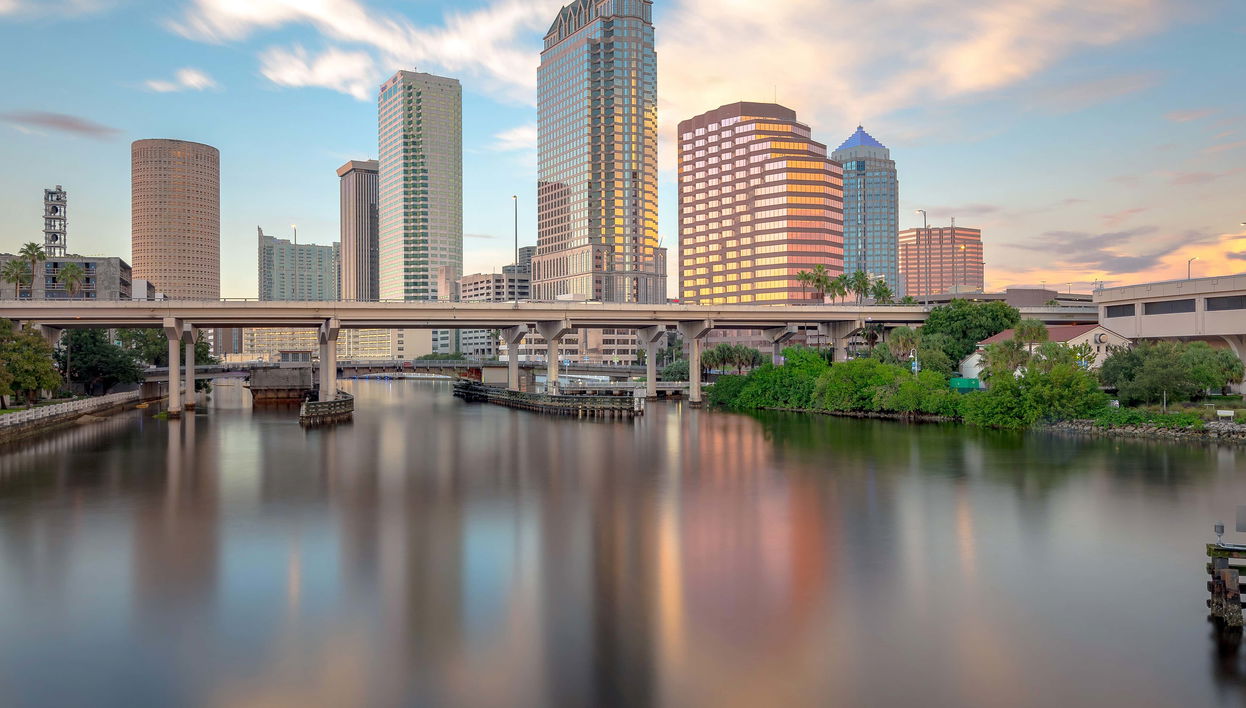 Clearwater Cruise + Lunch or Dinner