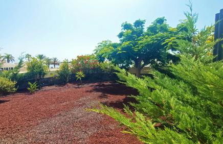 Casa Micaela - Exclusive - Foto 23