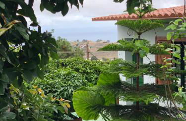 Los Viejitos en Firgas - Foto 85