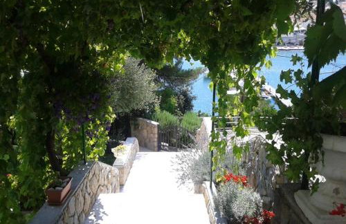 Apartmani Ivić Paka Rab - Photo 53