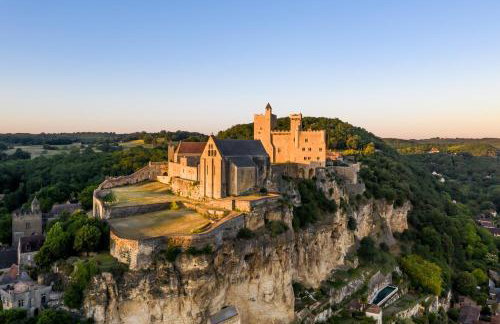 Domaine 6ha - vue Beynac, Castelnaud & Marqueyssac - piscine olympique - Photo 45