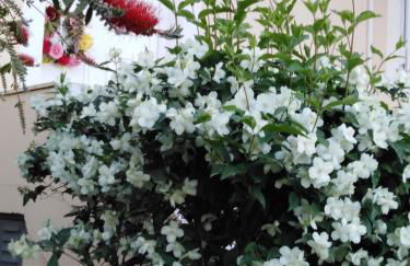 Villa Porto Matzavino - Foto 11