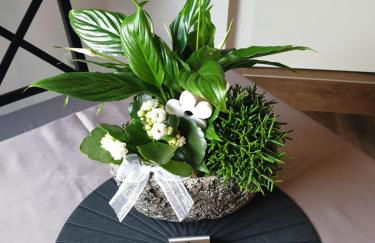 Ferienwohnung Berger Bocholt - Foto 10