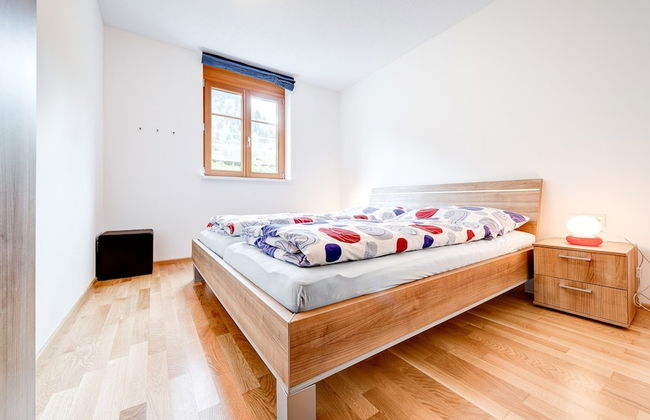 Gartenferienwohnung Ski In - Foto 11