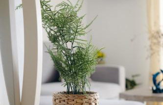 House of Farros - Foto 24