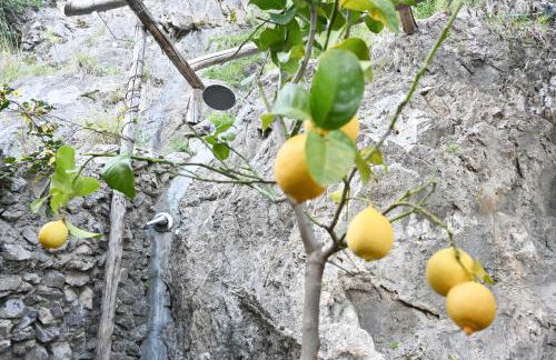 Casa Zia Adele - Foto 24