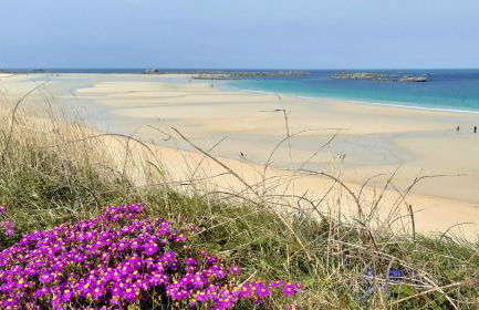 L'écurie Kerdoel - Foto 44