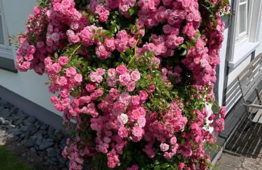 Fewo Allezeit Sauerland - Foto 33