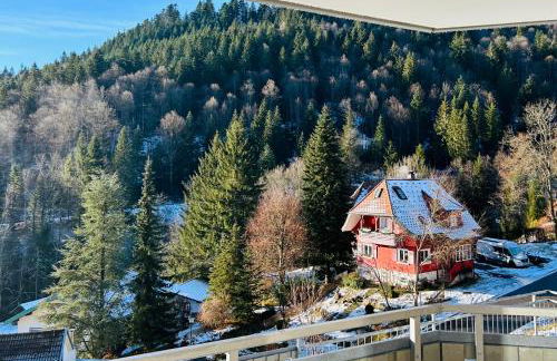 Ferienwohnung Panoramablick - super für deine Familie und die besten Aussicht in ganz Todtmoos - Foto 12