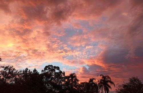 Chácara das Flores - Foto 28