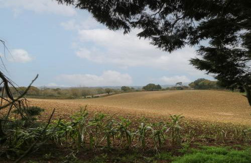 Rookley Lake Cottage - Foto 37