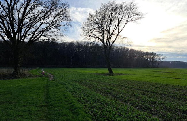 Cozy Villa in the Middle of the Achterhoek - Foto 31