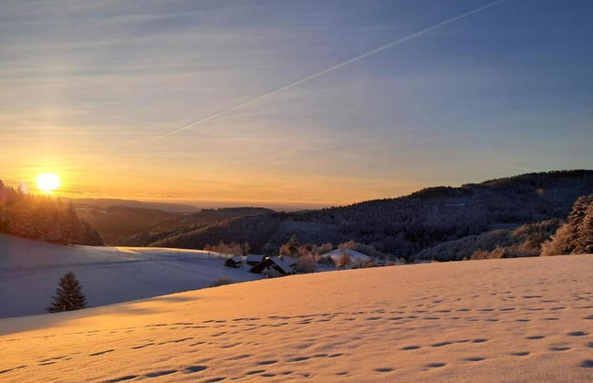 Apartment in Kleines Wiesental - Foto 38